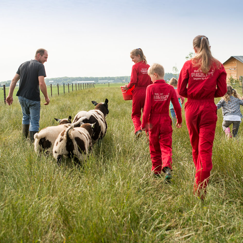 Kamperen bij Farmcamps