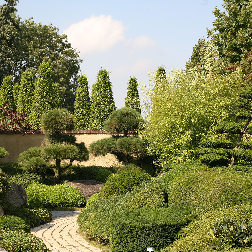 De bloemenpark van Appeltern